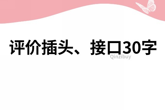 評價插頭、接口30字