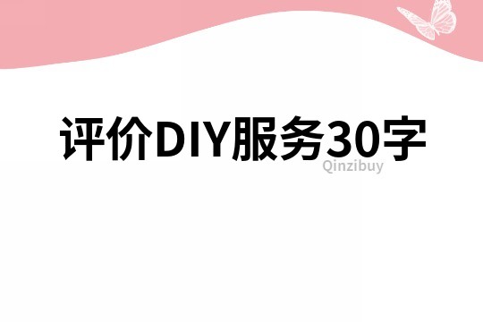 評(píng)價(jià)DIY服務(wù)30字