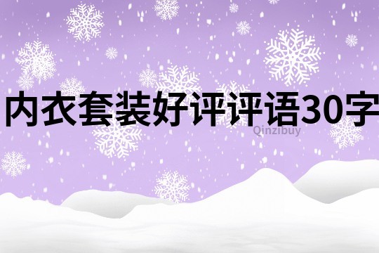 內衣套裝好評評語30字