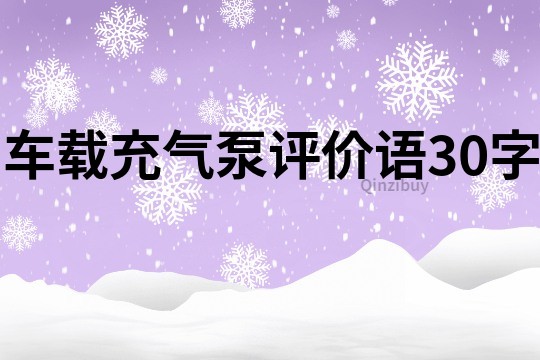 車載充氣泵評價語30字