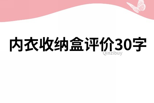 內(nèi)衣收納盒評價30字