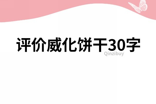評價威化餅干30字