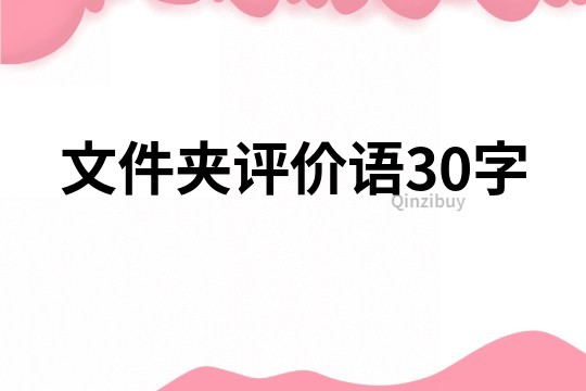 文件夾評價語30字