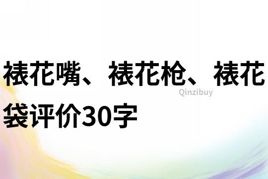 裱花嘴、裱花槍、裱花袋評價30字