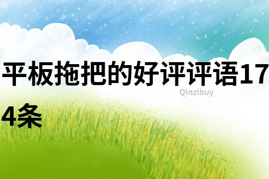 平板拖把的好評評語174條