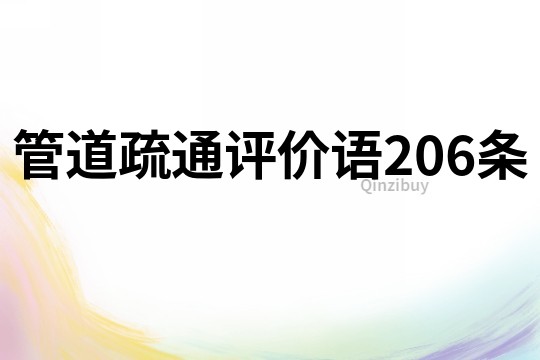 管道疏通評價語206條