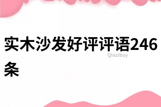 實木沙發好評評語246條