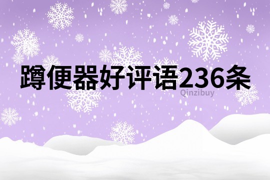 蹲便器好評語236條
