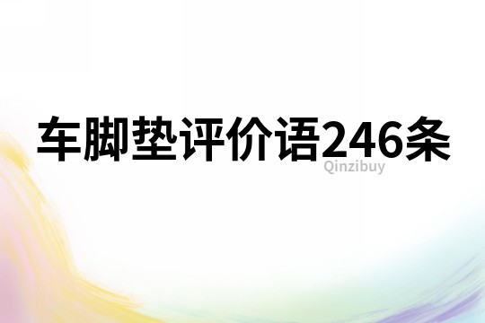 車腳墊評價語246條