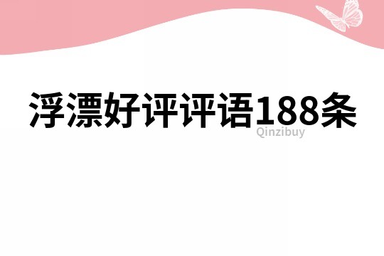 浮漂好評(píng)評(píng)語(yǔ)188條
