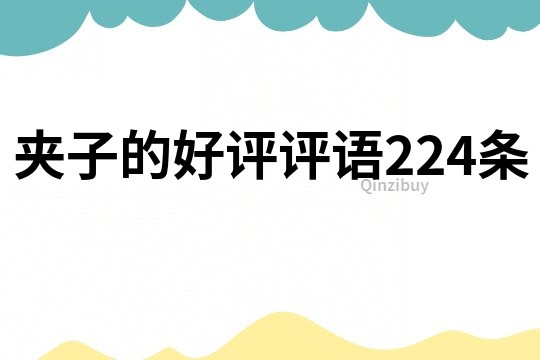 夾子的好評評語224條