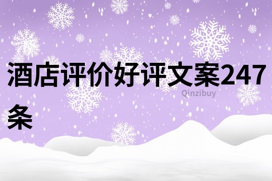 酒店評價好評文案247條
