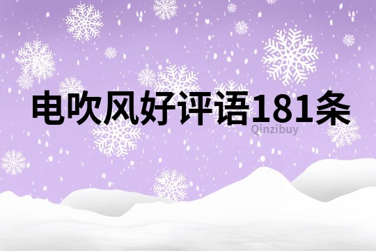 電吹風(fēng)好評語181條