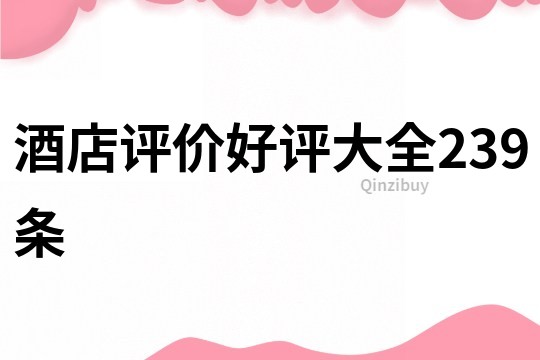 酒店評價好評大全239條