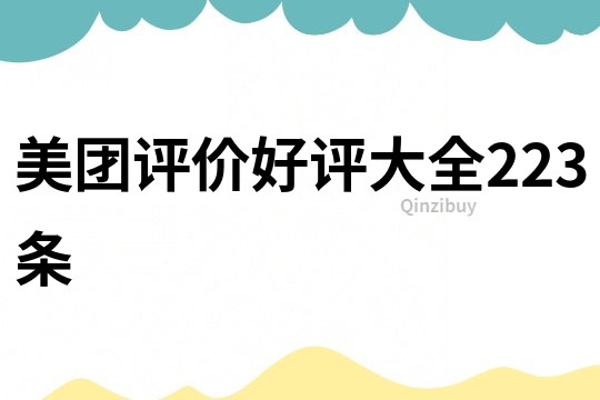 美團(tuán)評價(jià)好評大全223條