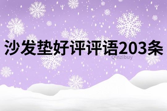 沙發墊好評評語203條