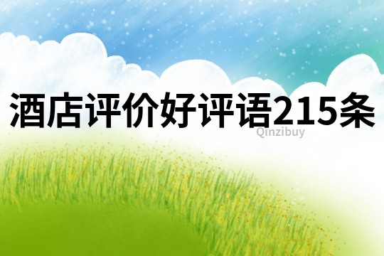 酒店評價(jià)好評語215條