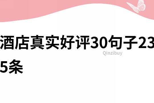 酒店真實好評30句子235條