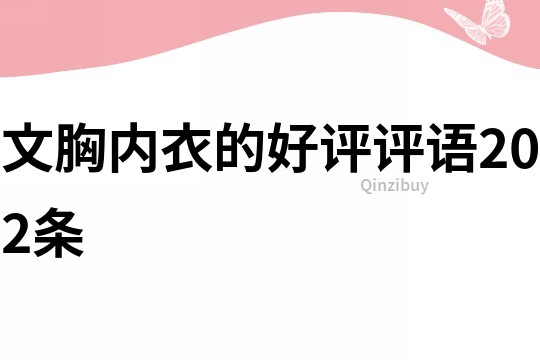 文胸內衣的好評評語202條