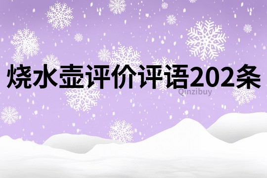 燒水壺評價評語202條