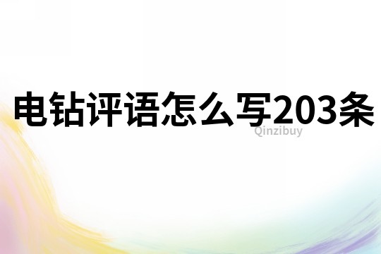 電鉆評語怎么寫203條