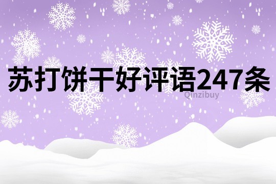 蘇打餅干好評語247條