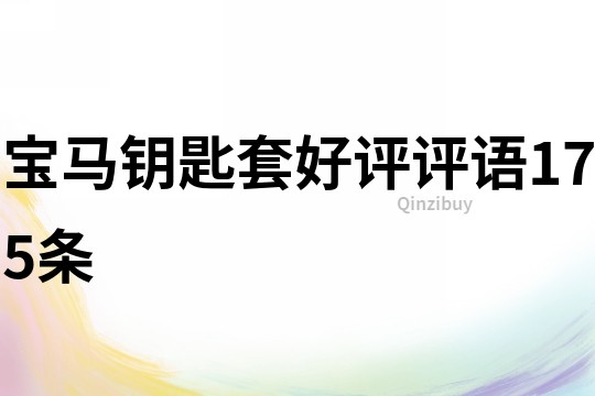 寶馬鑰匙套好評評語175條
