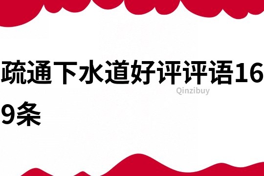 疏通下水道好評評語169條