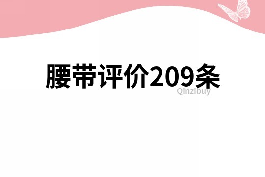 腰帶評價209條