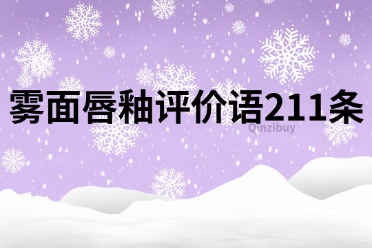霧面唇釉評價語211條