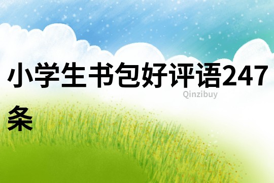 小學(xué)生書(shū)包好評(píng)語(yǔ)247條