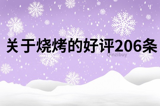 關于燒烤的好評206條