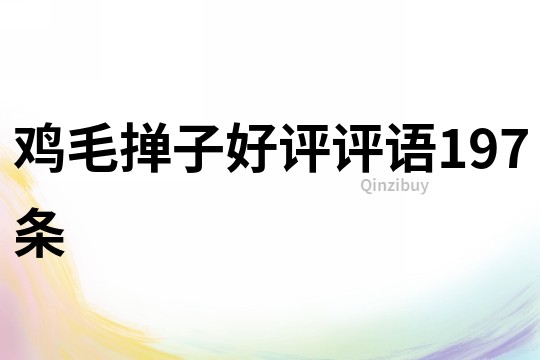雞毛撣子好評評語197條