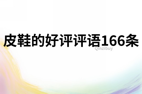 皮鞋的好評評語166條