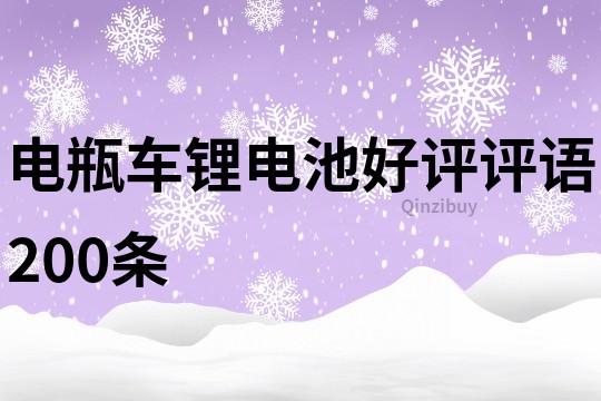 電瓶車鋰電池好評評語200條