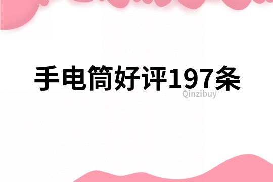 手電筒好評197條