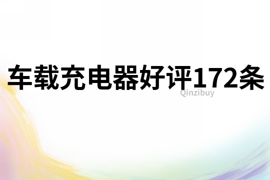 車載充電器好評172條