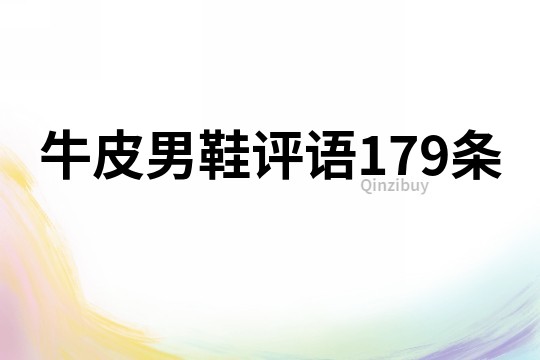 牛皮男鞋評語179條