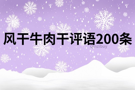 風干牛肉干評語200條