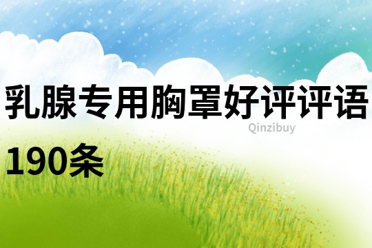 乳腺專用胸罩好評評語190條
