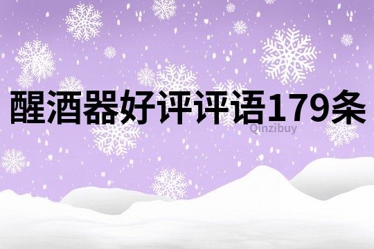 醒酒器好評評語179條