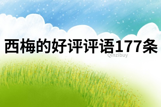 西梅的好評(píng)評(píng)語177條