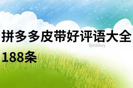 拼多多皮帶好評語大全188條