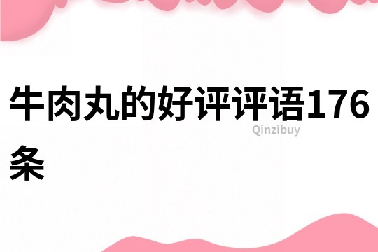 牛肉丸的好評評語176條