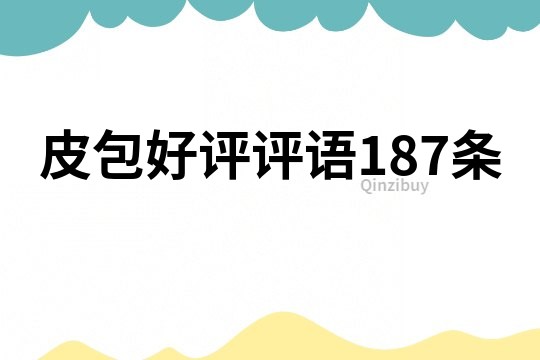 皮包好評評語187條