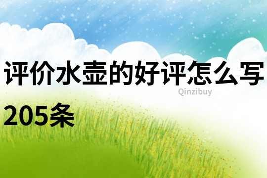 評價水壺的好評怎么寫205條