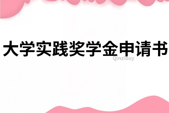 大學實踐獎學金申請書
