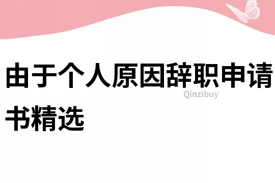 由于個人原因辭職申請書精選