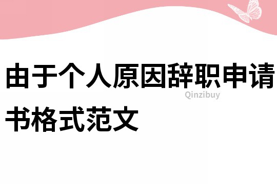 由于個人原因辭職申請書格式范文