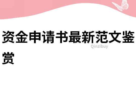資金申請書最新范文鑒賞